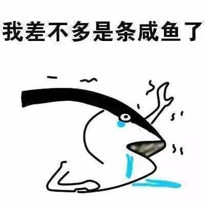 咸鱼女配在年代文吃瓜免费阅读