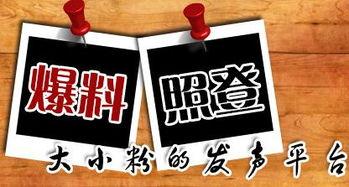 真假新闻大爆料,一场关于真相与谣言的较量