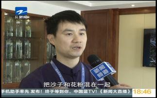 真假新闻大爆料,一场关于真相与谣言的较量