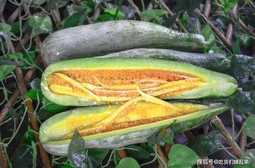 vx网红吃瓜免费,免费体验，带你领略网络红人幕后生活