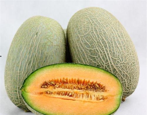 小夫免费吃哈密瓜视频