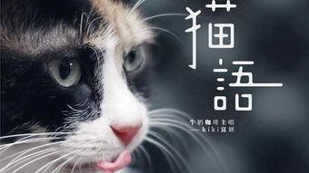 猫之城最新爆料视频网,最新爆料视频带你探秘神秘猫界