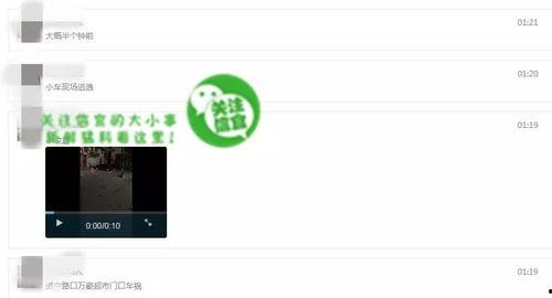 超级爆料视频在线观看,超级爆料视频在线观看，精彩内容抢先看！