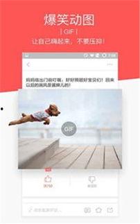 晚安头条最新爆料新闻,最新爆料新闻背后的惊人真相