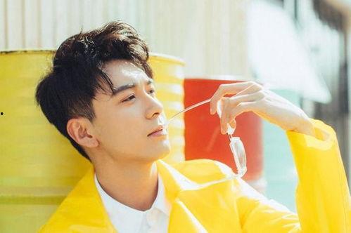 娱记爆料陈星旭视频大全,娱记爆料背后的精彩瞬间