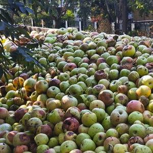 礼泉县爆料新闻,揭秘背后真相，社会关注焦点聚焦