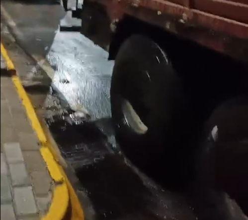 礼泉县爆料新闻,揭秘背后真相，社会关注焦点聚焦