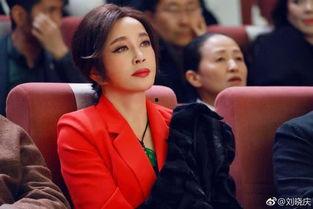 爆料刘晓庆的的原视频,传奇人生背后的真实故事