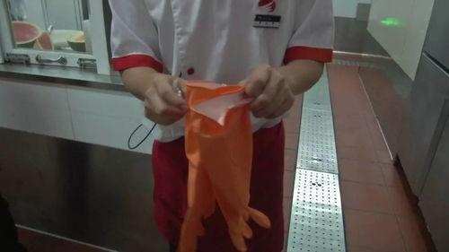 塑料性 在线观看,在线观看揭示材料奥秘