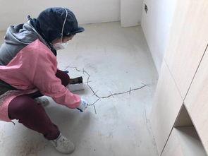 塑料性 在线观看,在线观看揭示材料奥秘